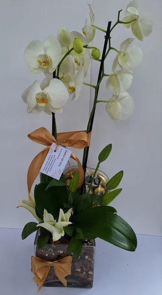 Orquídeas blancas en base de cristal con lazo dorado