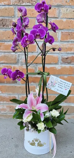 Orquídeas lila con lirio rosado en caja blanca con cisnes